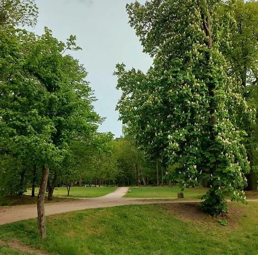 Apartman Kira Baltic